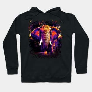 Power Elephant - Your rainbow animal guide Hoodie